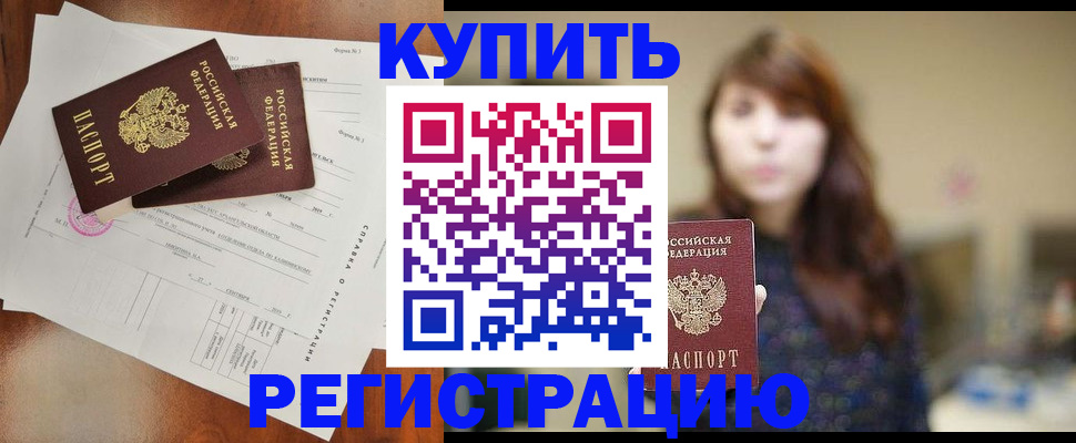 прописка поиск в Шебекино